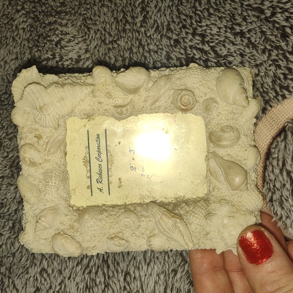 Picture frame seashell